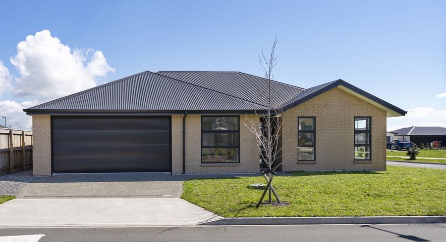 at 50 Ascot Street, Richmond, Tasman, Nelson / Tasman
