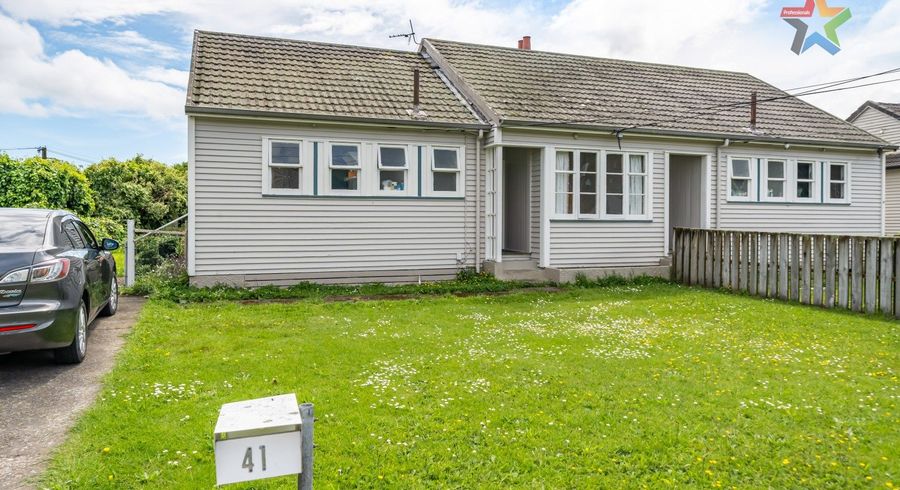  at 41 Rata Street, Naenae, Lower Hutt