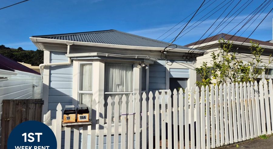  at 19 Hanson Street, Mount Cook, Wellington, Wellington