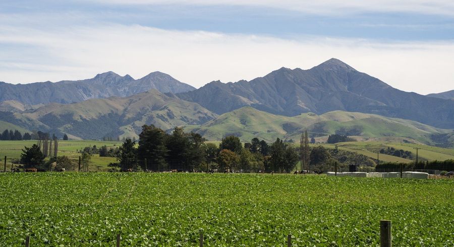  at Tait Road, Geraldine, Timaru, Canterbury