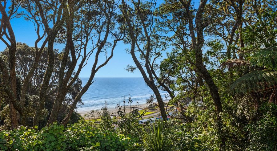  at 59 Pohutukawa Drive, Waiotahe, Opotiki