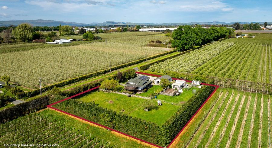  at 99 Raupare Road, Twyford