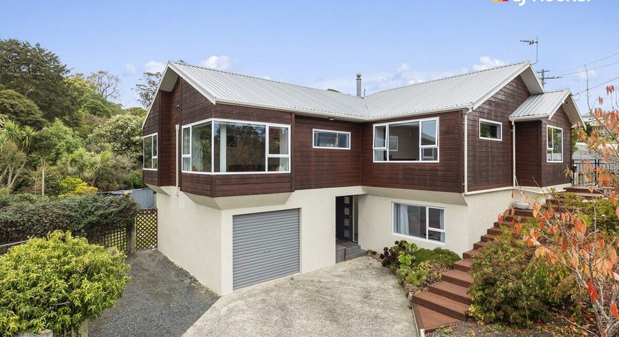  at 168 Scott Street, Waverley, Dunedin