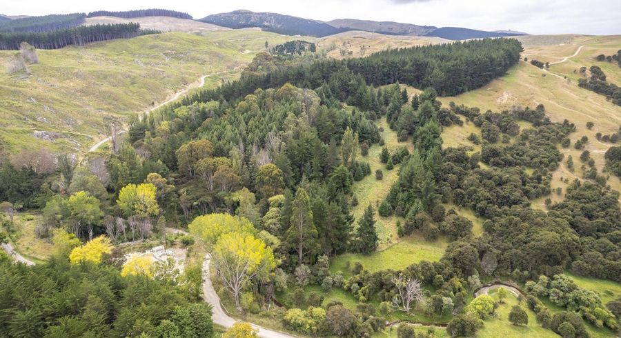 at 0 Bute Rd, Mangapakeha, Masterton