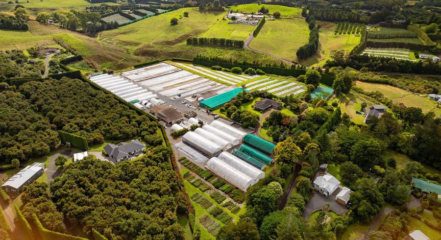  at 389 Old Highway, Whakamarama, Western Bay Of Plenty, Bay Of Plenty