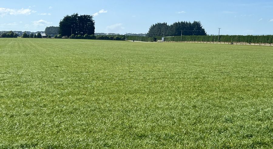  at 74 Turkey Bush Road, BRANXHOLME, INVERCARGILL