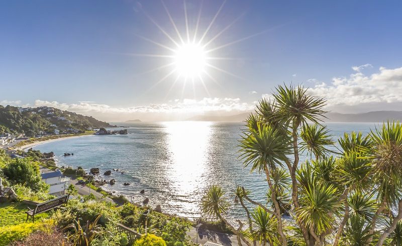  at 8 Beere Haven Steps, Seatoun, Wellington