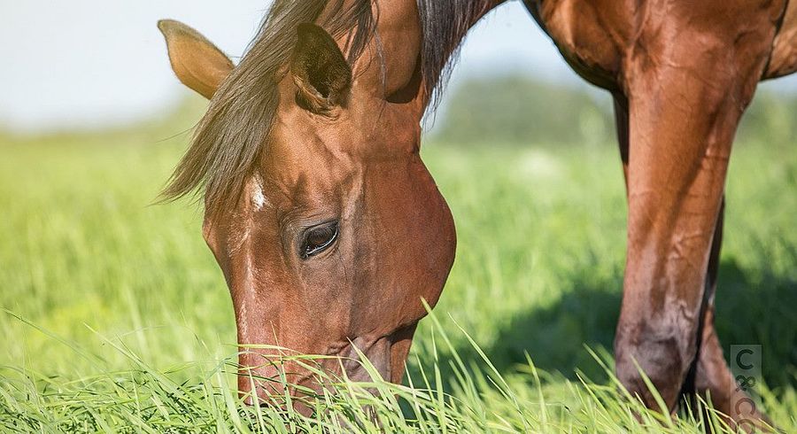  at 306 Taiapa Road, Muriwai Valley, Rodney
