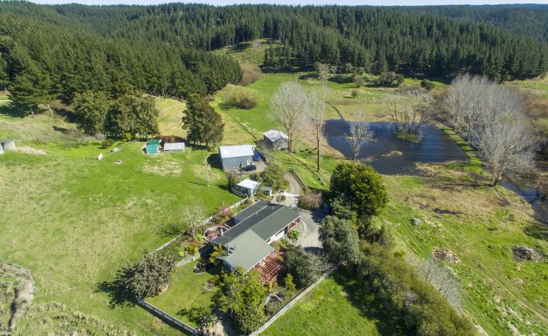  at 1279 Wairoa Road, Bay View, Eskdale