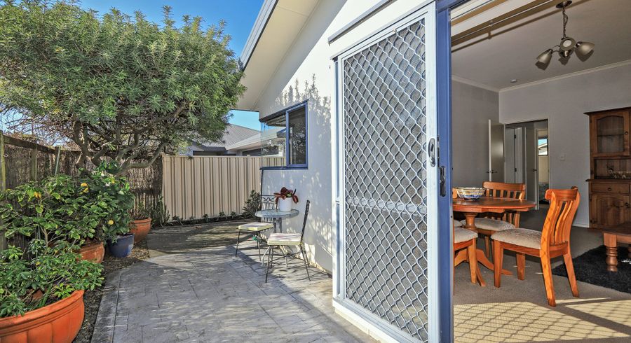  at B/502 Lyndon Rd E, Akina, Hastings