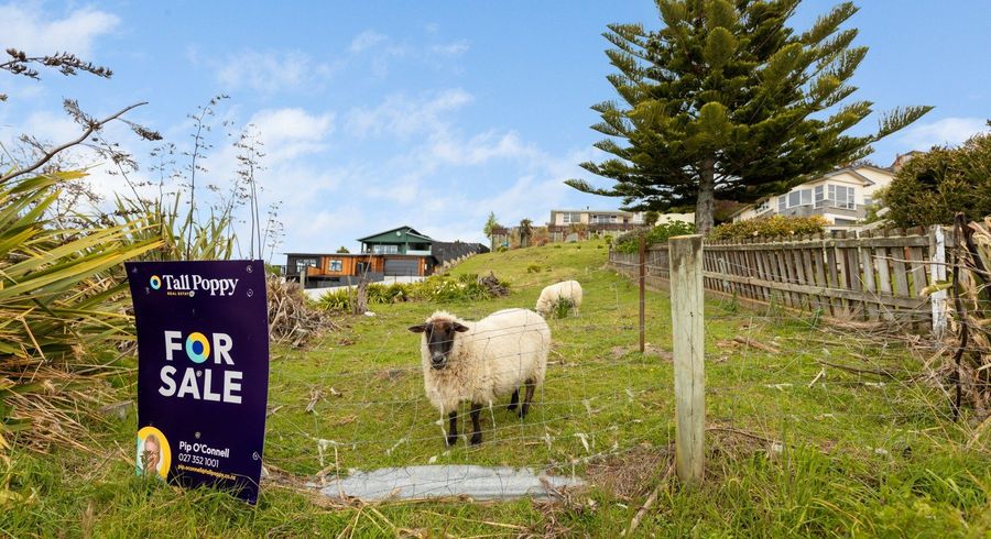 at 7 Ashburn Street, Oamaru, Waitaki, Otago