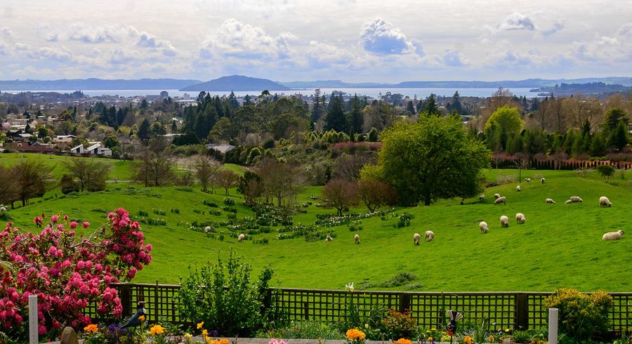  at 31 Exeter Place, Tihiotonga, Rotorua