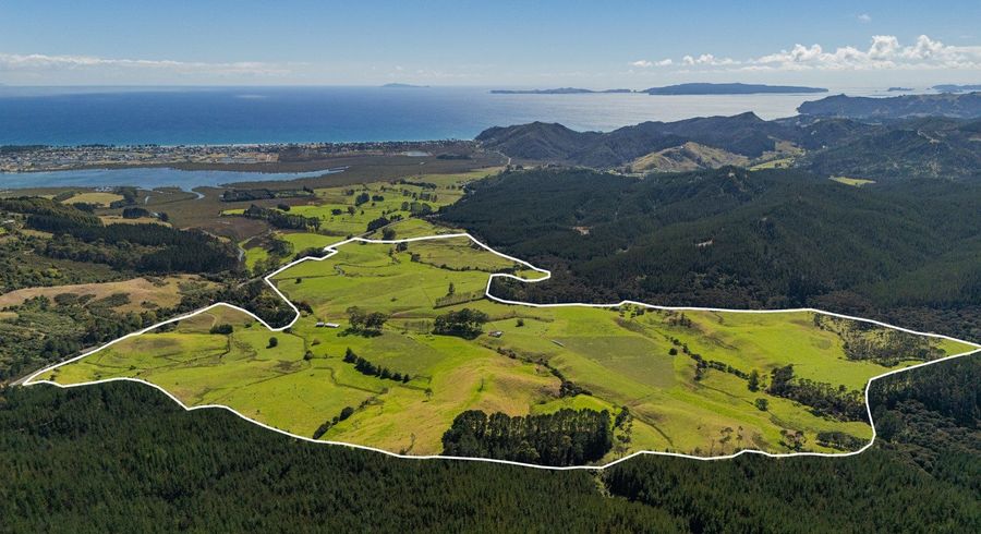  at 650 Sh25 Te Rerenga-Kuaotunu Road, Matarangi, Thames-Coromandel, Waikato