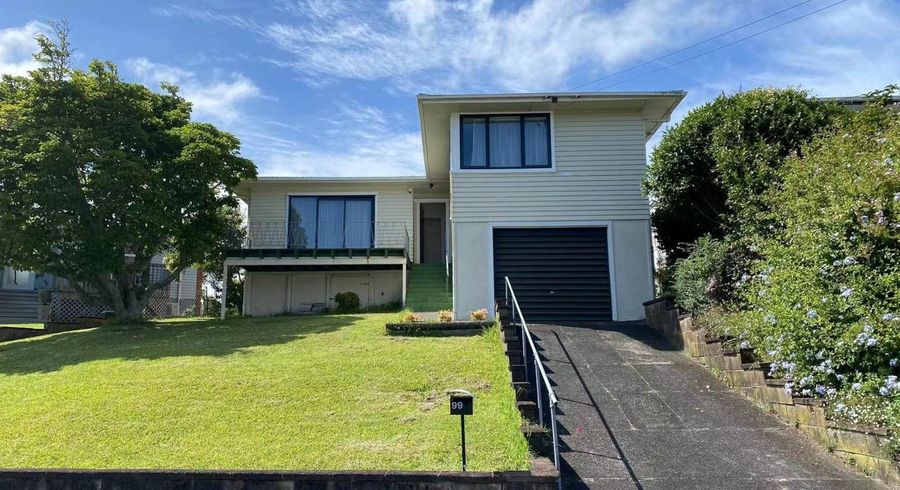  at 99 Methuen Road, New Windsor, Auckland City, Auckland