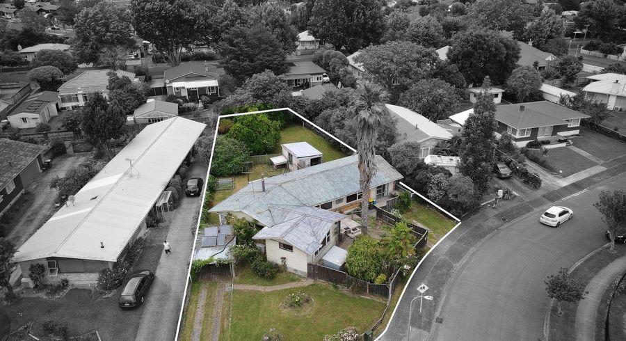  at 19 Patricia Avenue, Hamilton East, Hamilton