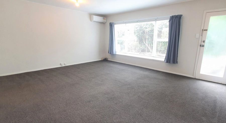  at 8D Fairleigh Ave, Mount Albert, Auckland City, Auckland