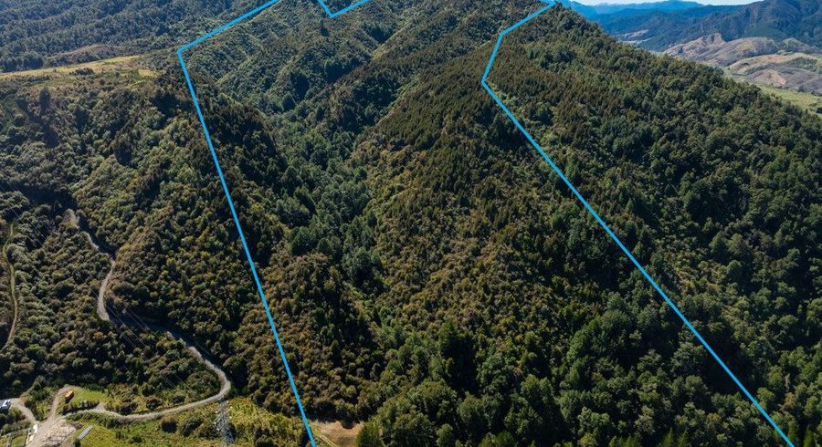  at 288 Matiri Valley Road, Matiri