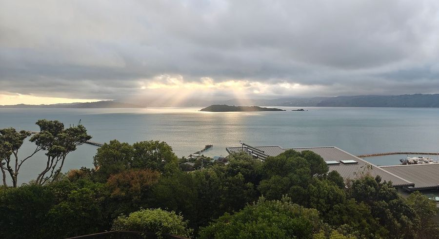  at 8D Nikau Road, Point Howard, Lower Hutt, Wellington