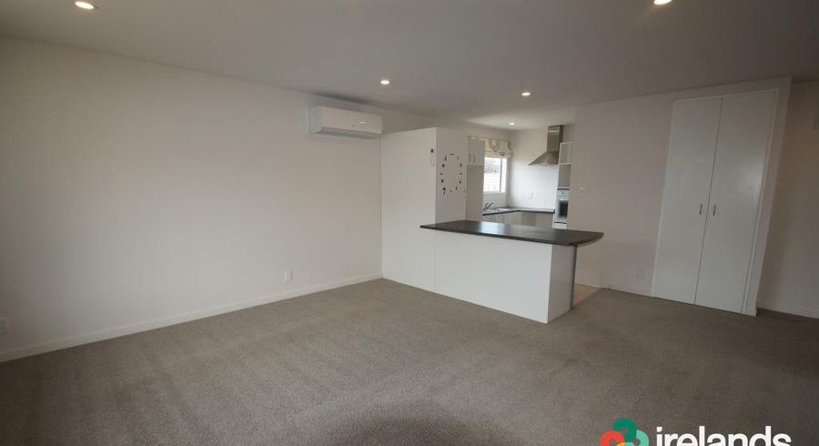  at 3/11 Cross Street, Phillipstown, Christchurch
