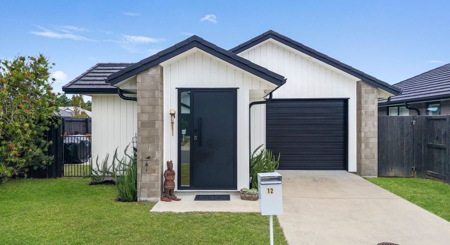  at 12 Fontana Street, Papamoa, Tauranga, Bay Of Plenty