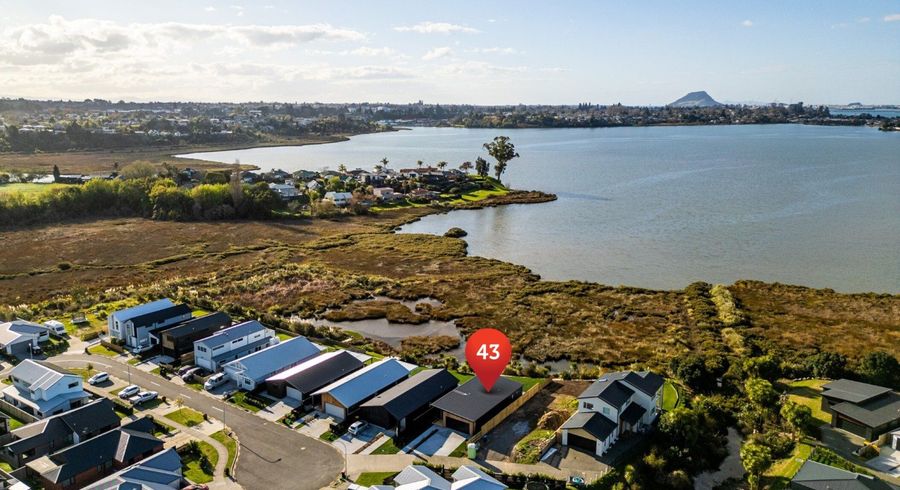  at 43 Hinaki Street, Poike, Tauranga, Bay Of Plenty