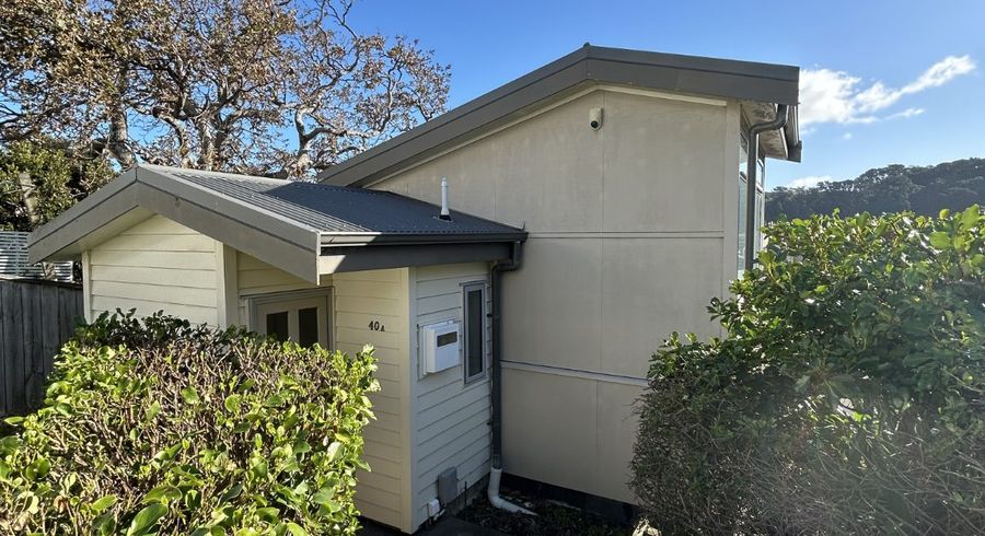  at 40A Overtoun Tce, Hataitai, Wellington, Wellington