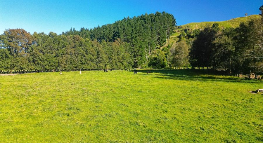  at Lot 1, Longacre Road, Okoia, Whanganui, Manawatu / Whanganui