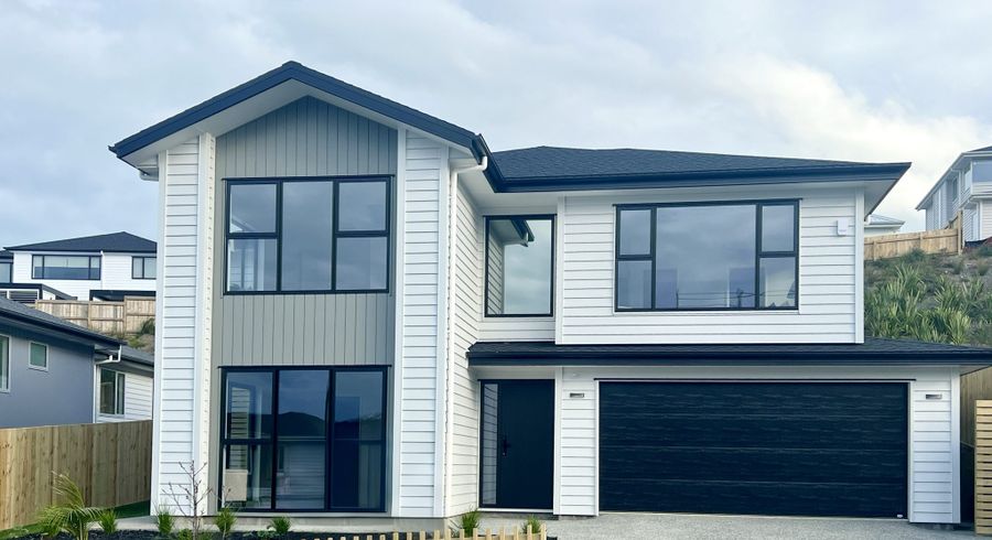  at 19 Kaupeka Road, Millwater, Rodney, Auckland