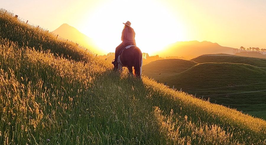  at 964 Tarata Road, Inglewood, New Plymouth, Taranaki