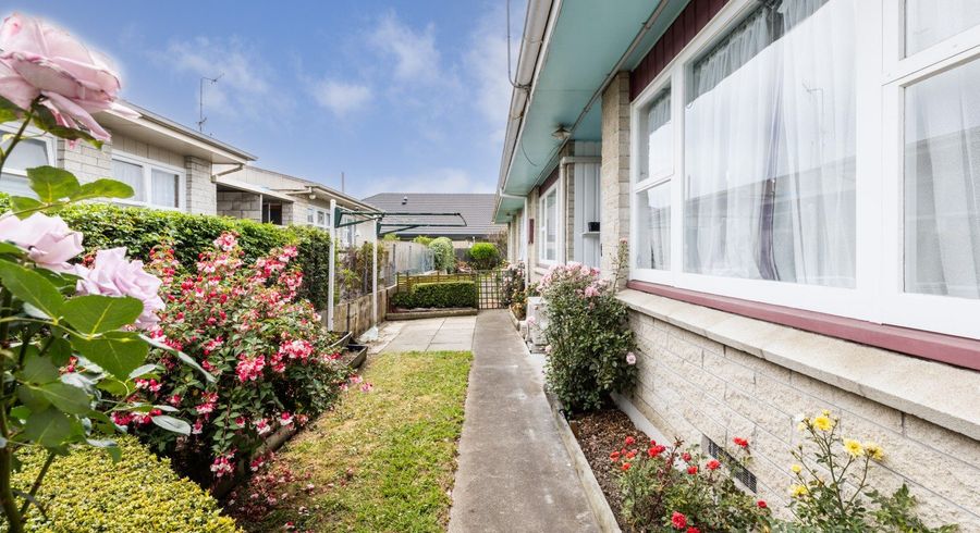  at 2/210A Grove RD, Mayfair, Hastings
