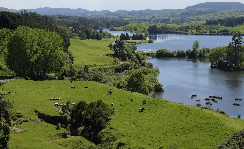  at 912 Poutakataka Road, Rotorua