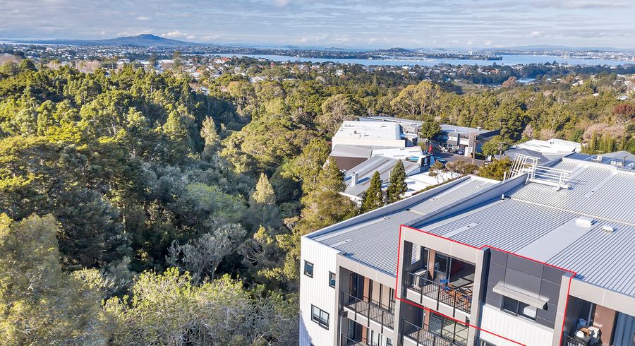  at 53/241 Hinemoa Street, Birkenhead, Auckland