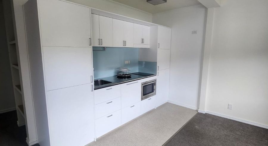  at Btm/104 Hamilton Road, Hataitai, Wellington, Wellington