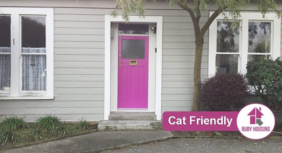  at 25B Haast St, City Centre, Christchurch City, Canterbury