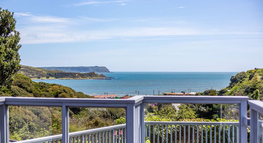  at 45 Mana View Road, Paremata, Porirua, Wellington