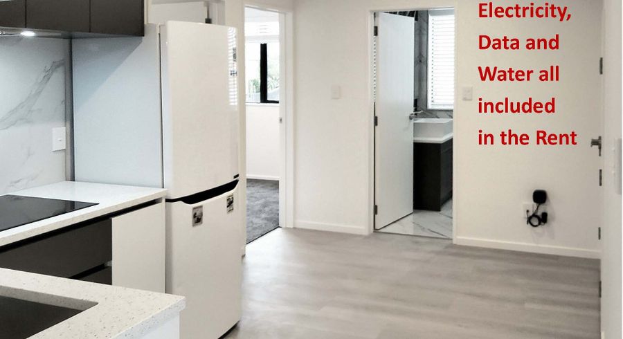 at 1/121 Longhorn Drive, Flat Bush, Manukau City, Auckland