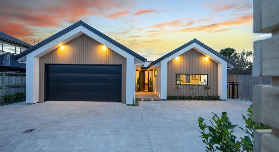  at 110A Fitzroy Street, Terrace End, Palmerston North, Manawatu / Whanganui