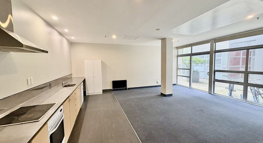  at 2/27 Hanson Street, Mount Cook, Wellington, Wellington