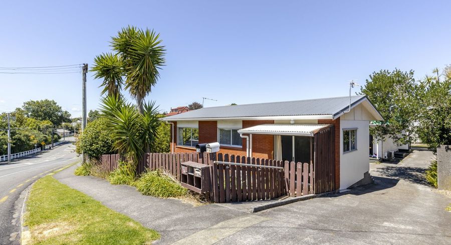  at 1/24 Hori Street, Vogeltown, New Plymouth, Taranaki