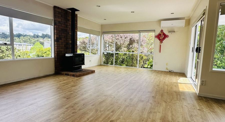  at 22 Segedin Place, Totara Vale, North Shore City, Auckland