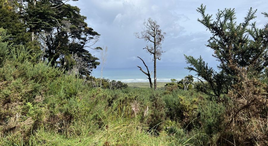  at Lot . State Highway 6, Barrytown, Grey, West Coast