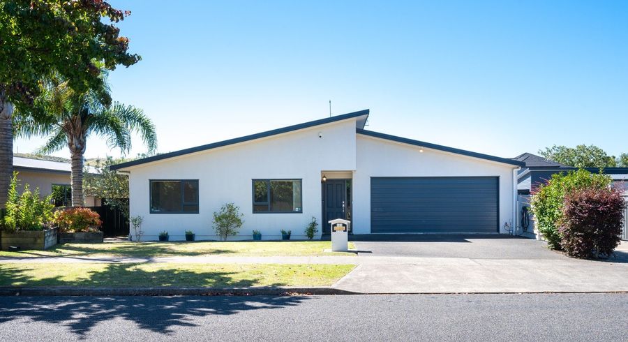  at 203 Avenue Road, Greenmeadows, Napier