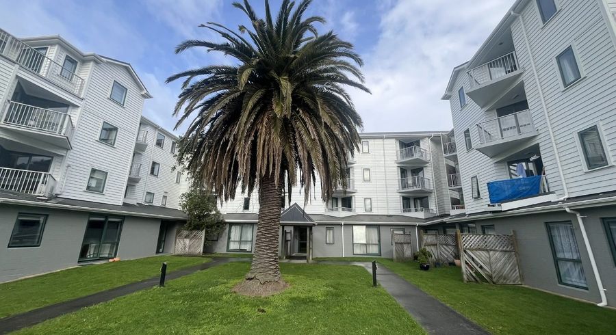  at B6/13 Palm Grove, Berhampore, Wellington, Wellington