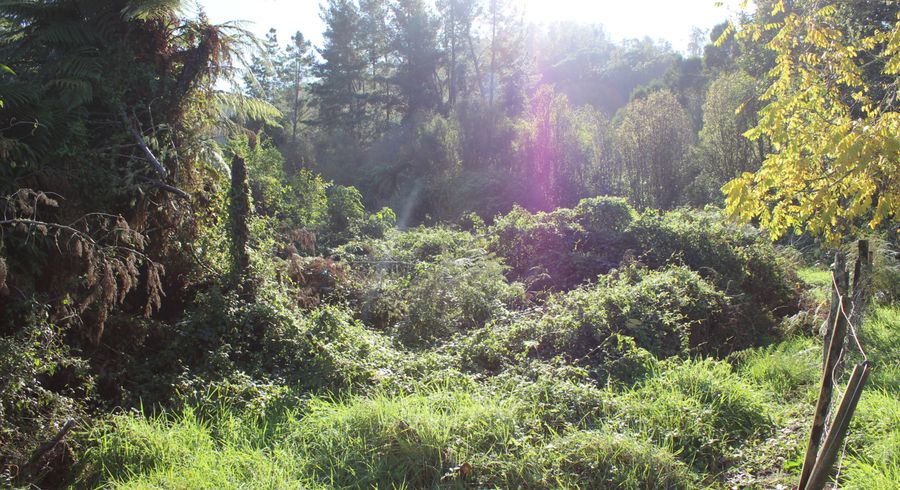 at 470 Wangapeka Road, Little Wanganui