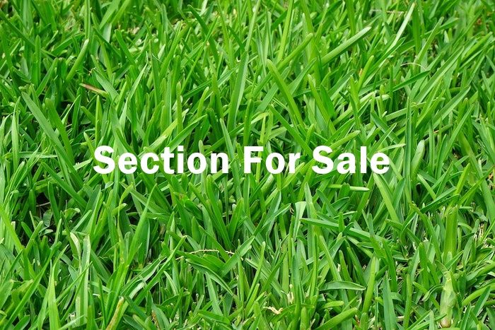  at 5 Primrose Lane, Karangahake