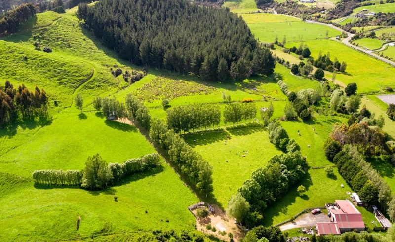  at 111A Johnsons Road, Whitemans Valley, Upper Hutt