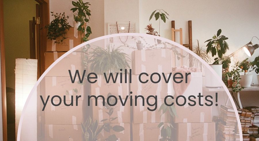  at 505/20 Hanson Street, Mount Cook, Wellington, Wellington