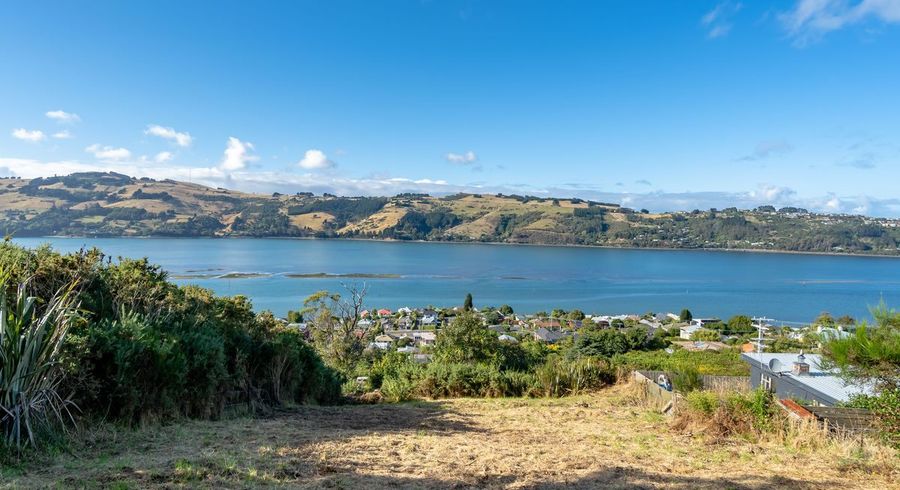  at 61 Manapouri Street, Ravensbourne, Dunedin, Otago