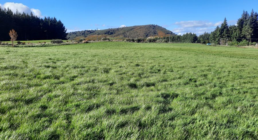  at 75 Creek Road, Allenton, Ashburton