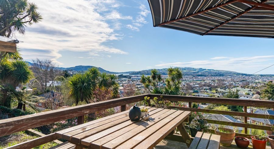  at 56 Peter Street, Caversham, Dunedin
